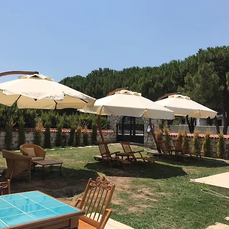 Monottoman アラカティ