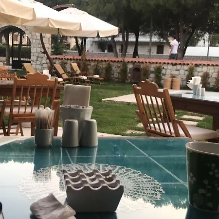 Monottoman 2* 阿拉恰特